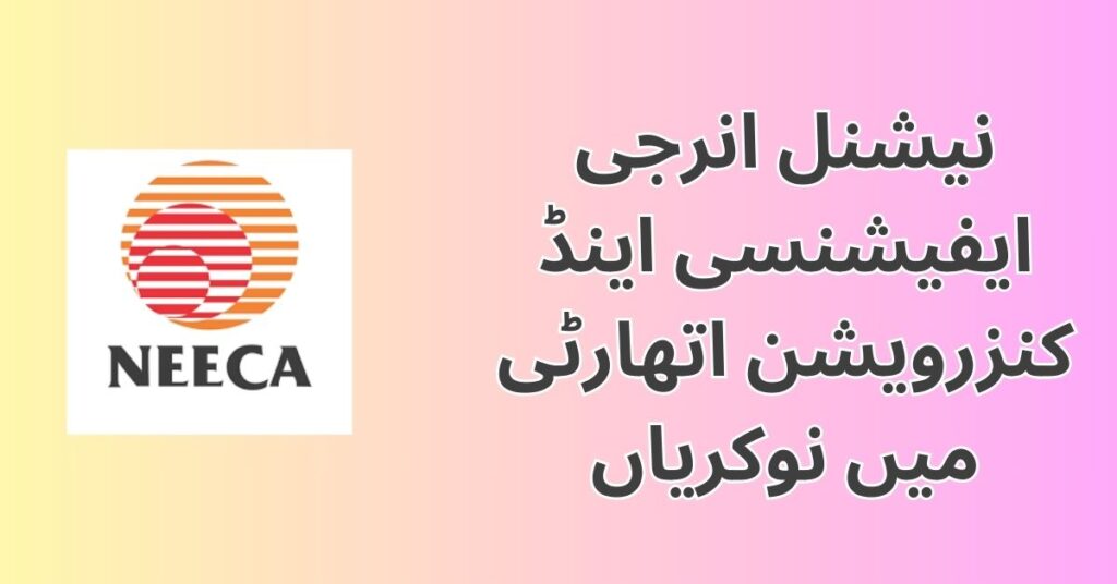 NEECA Jobs 2024