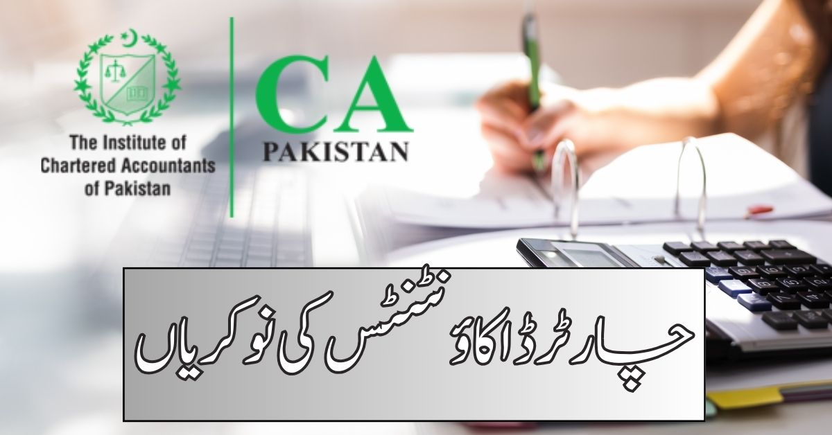 Chartered Accountants Jobs 2024