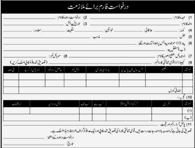 Government Organization Jobs 2024