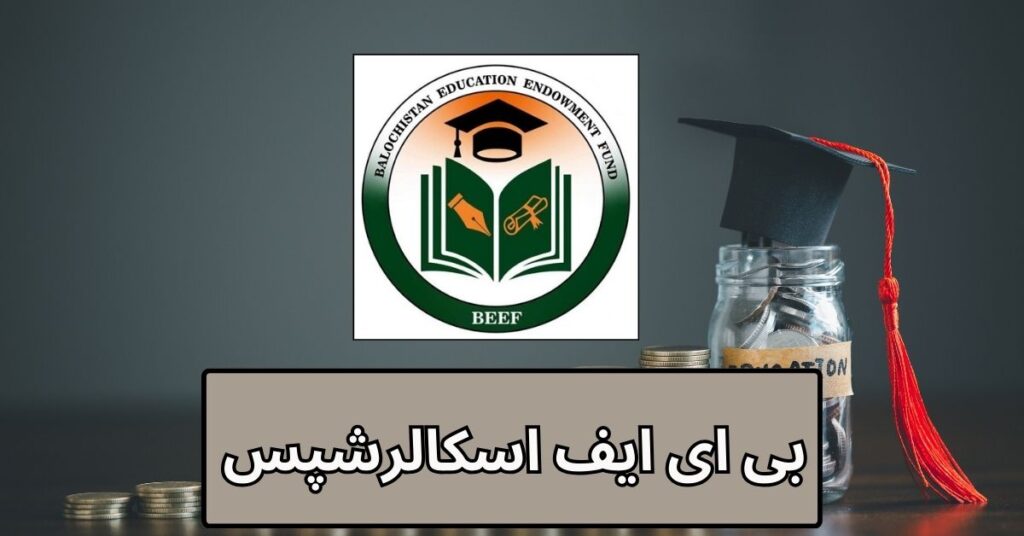 BEEF Scholarships