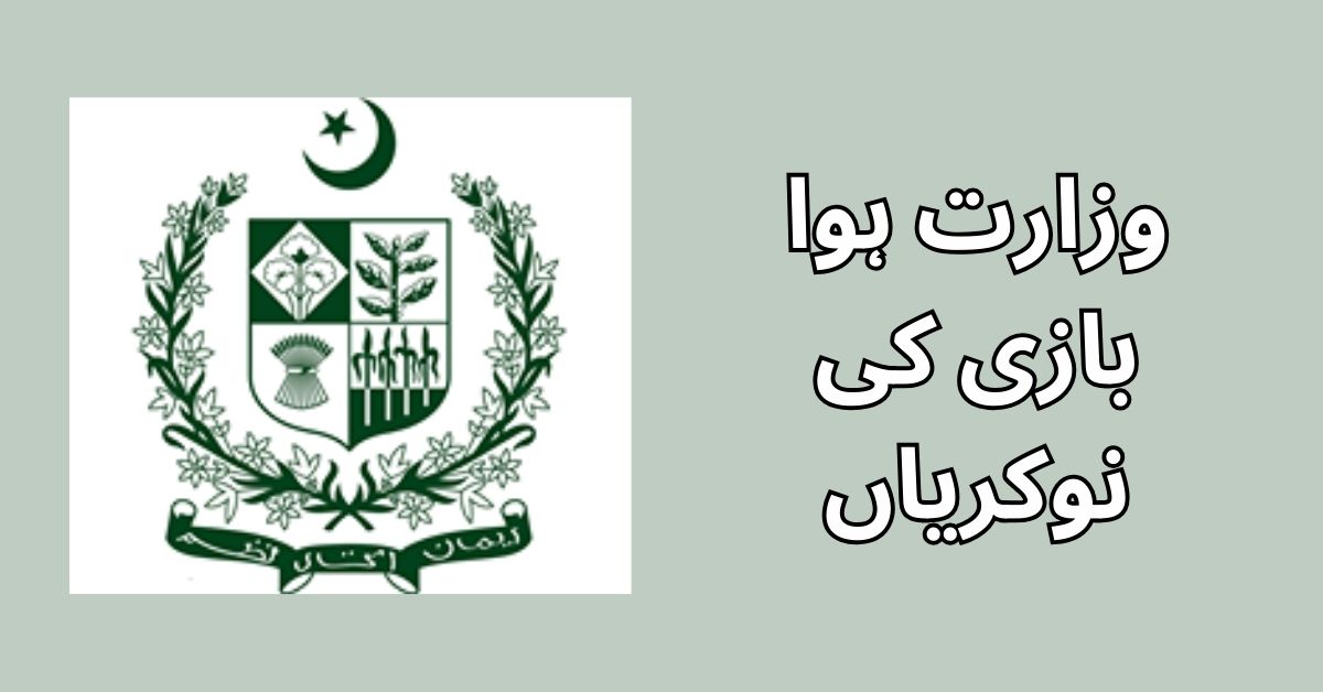 Ministry of Aviation Jobs 2024 Ministry of Aviation Jobs 2024