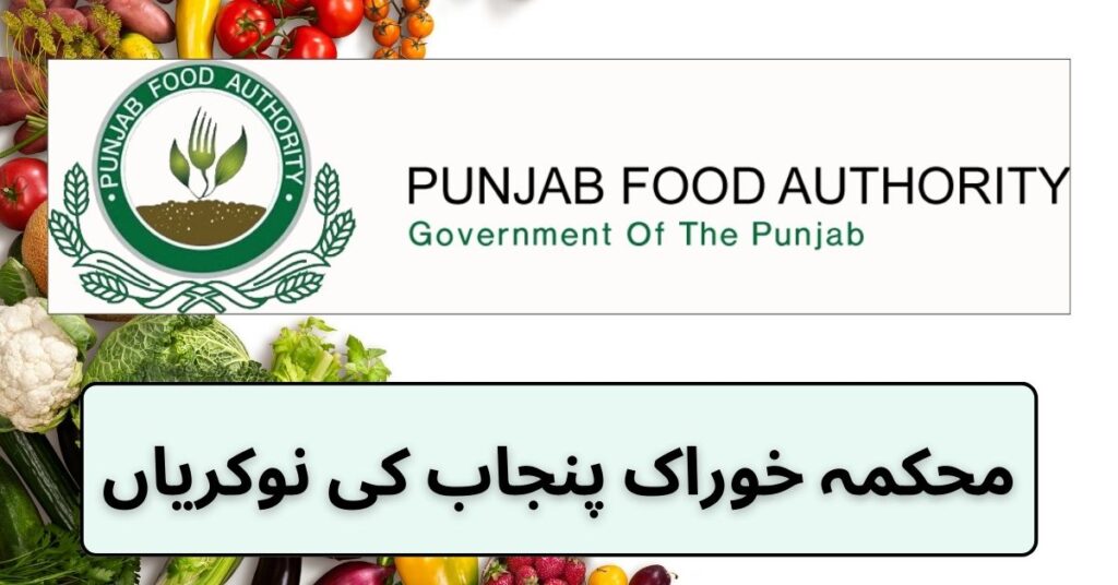 Food Department Punjab Jobs 2024