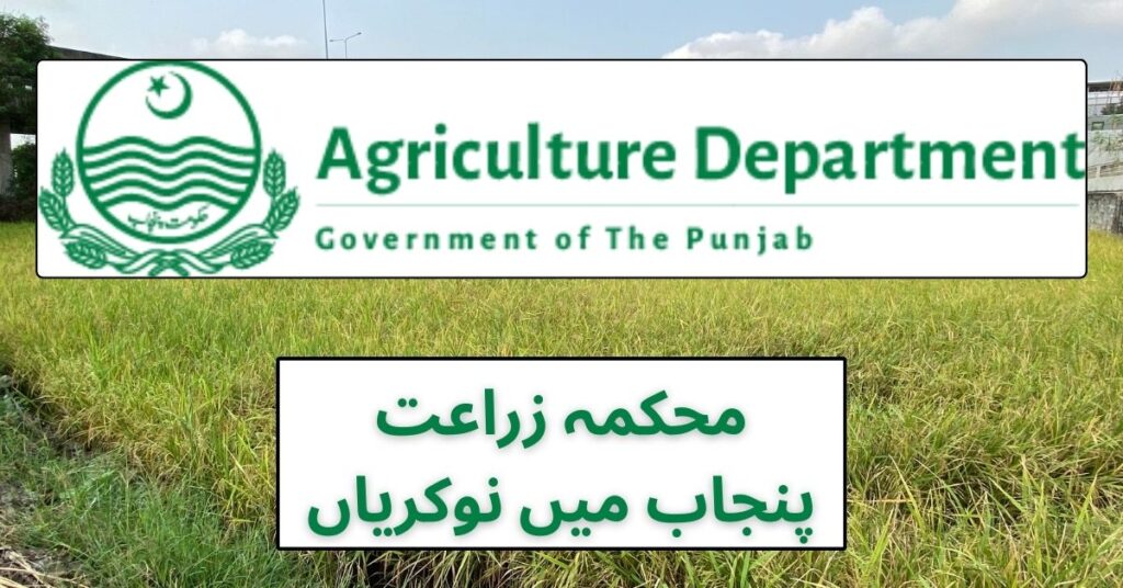 Agriculture Department Punjab Jobs 2024