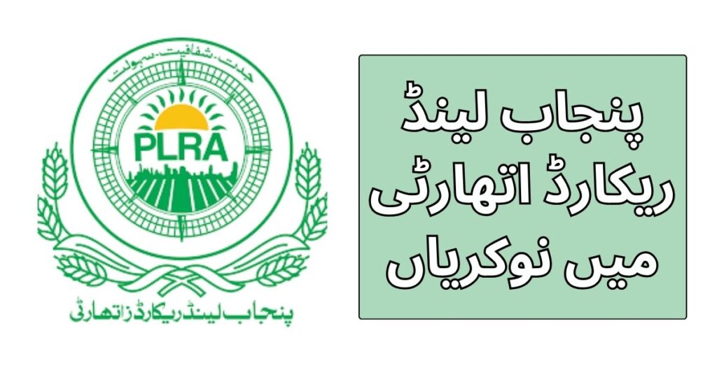 Punjab Land Records Authority Jobs 2024