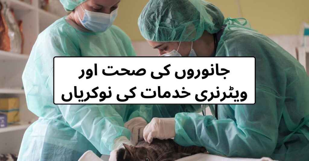 Animal Health & Veterinary Services Jobs 2024