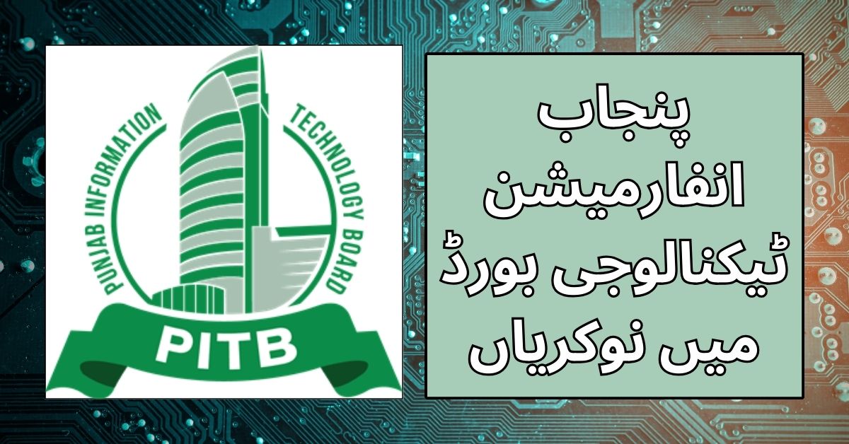 Punjab Information Technology Board Jobs 2024