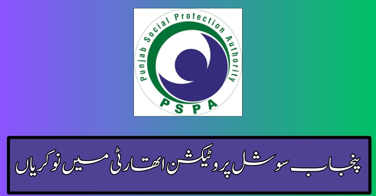 Punjab Social Protection Authority Jobs 2024