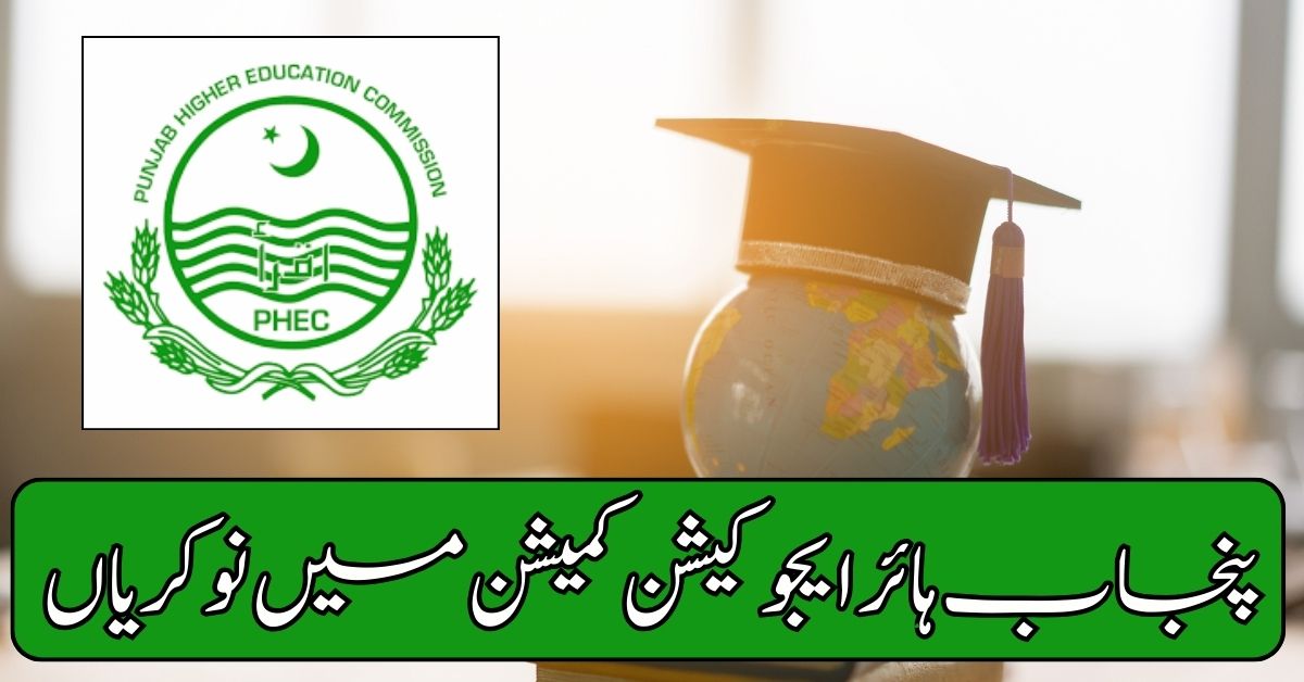 Punjab Higher Education Commission Jobs 2024