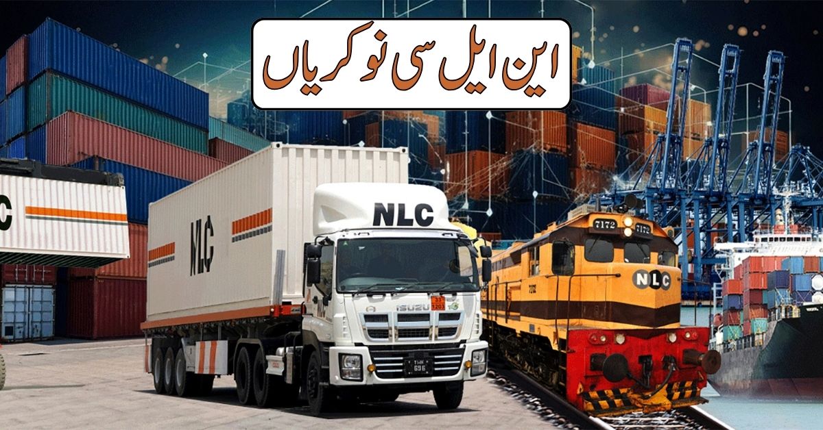 NLC Jobs 2024