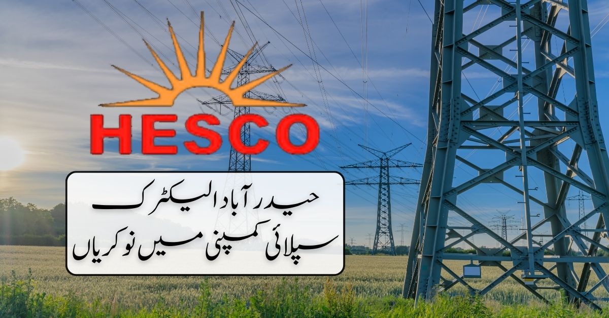 Hyderabad Electric Supply Company Jobs 2024