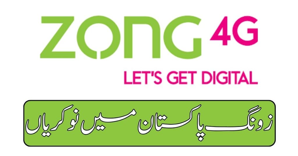 Zong Jobs 2024