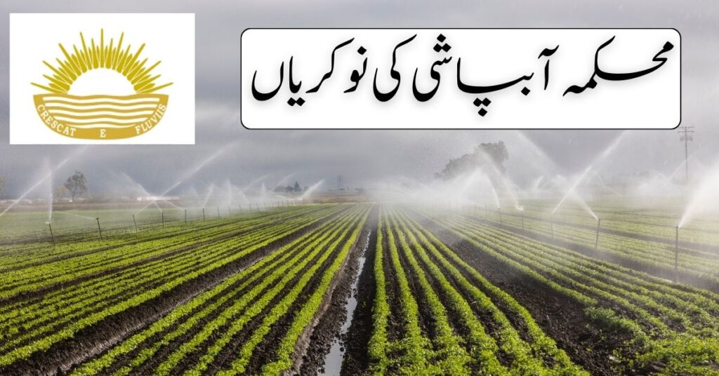 Irrigation Department Jobs 2024