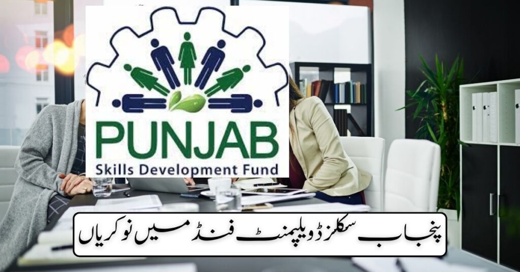 Punjab Skills Development Fund Jobs 2024