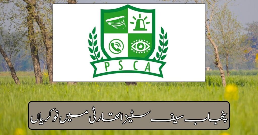 Punjab Safe Cities Authority Jobs 2024