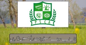 Punjab Safe Cities Authority Jobs 2024