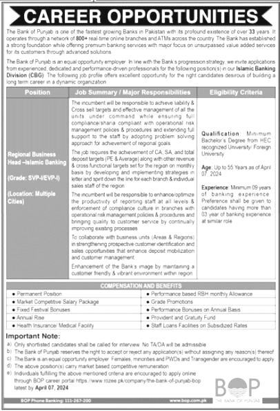 The Bank Of Punjab Jobs 2024