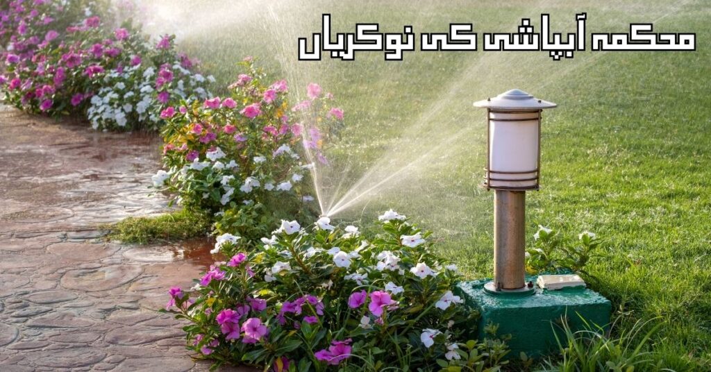Irrigation Department Jobs 2024