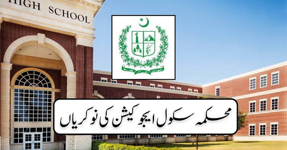 School Education Department Jobs 2024 School Education Department Jobs 2024