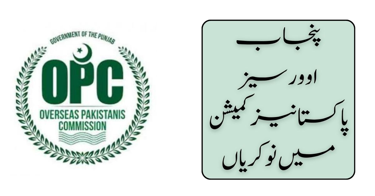 Punjab Overseas Pakistanis Commission Jobs 2024