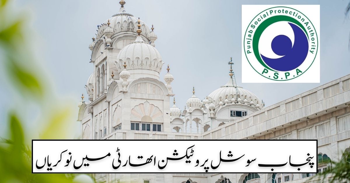 Punjab Social Protection Authority Jobs 2024