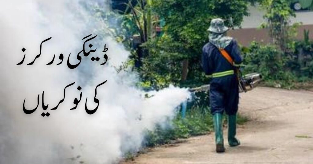 Dengue Workers Jobs 2024