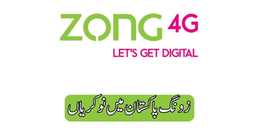 Zong Jobs 2024