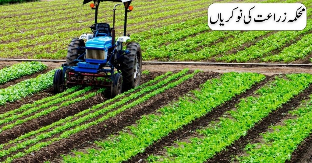 Agriculture Department Jobs 2024