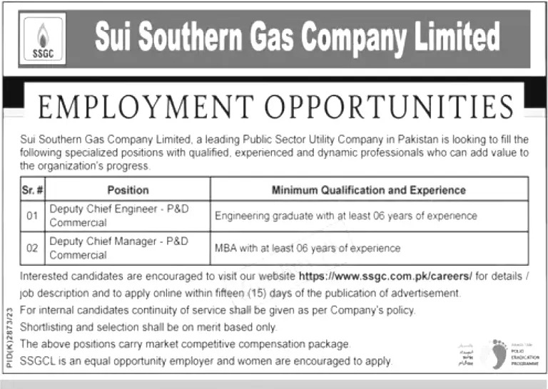 Sui Southern Gas Company Jobs 2024