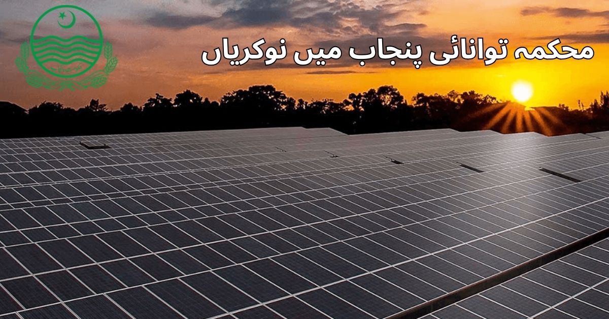 Energy Department Punjab Jobs