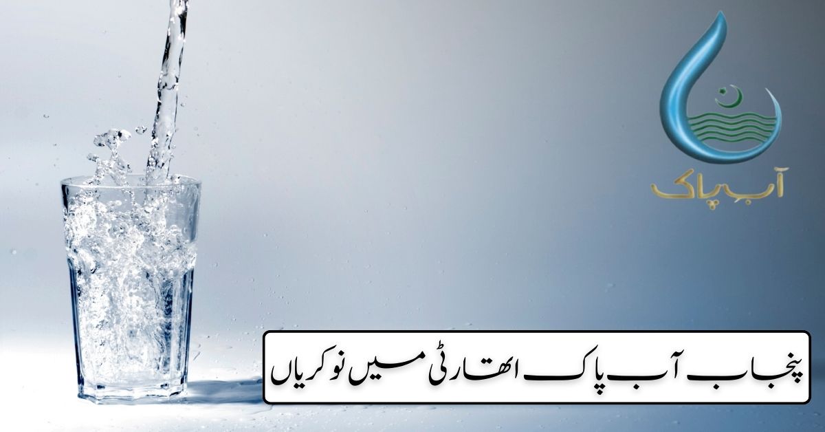 Punjab Aab e Pak Authority Jobs