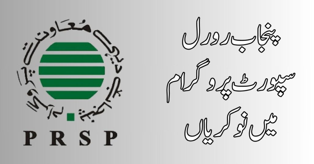 Punjab Rural Support Programme Jobs 2024