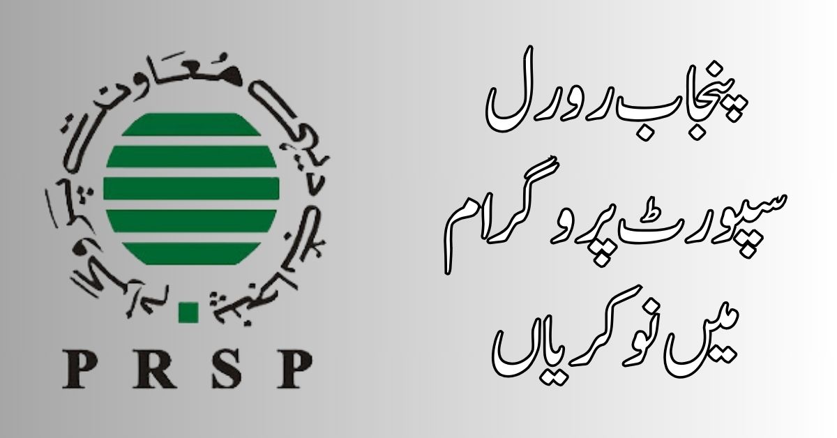 Punjab Rural Support Programme Jobs 2024