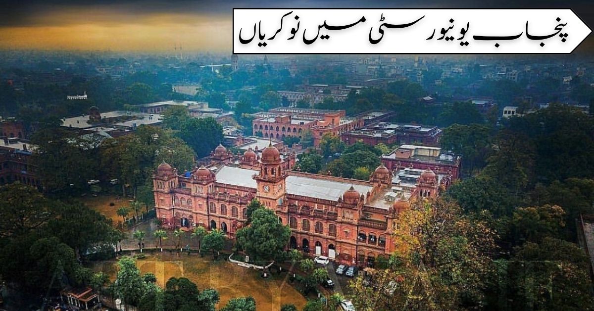 Punjab University Jobs
