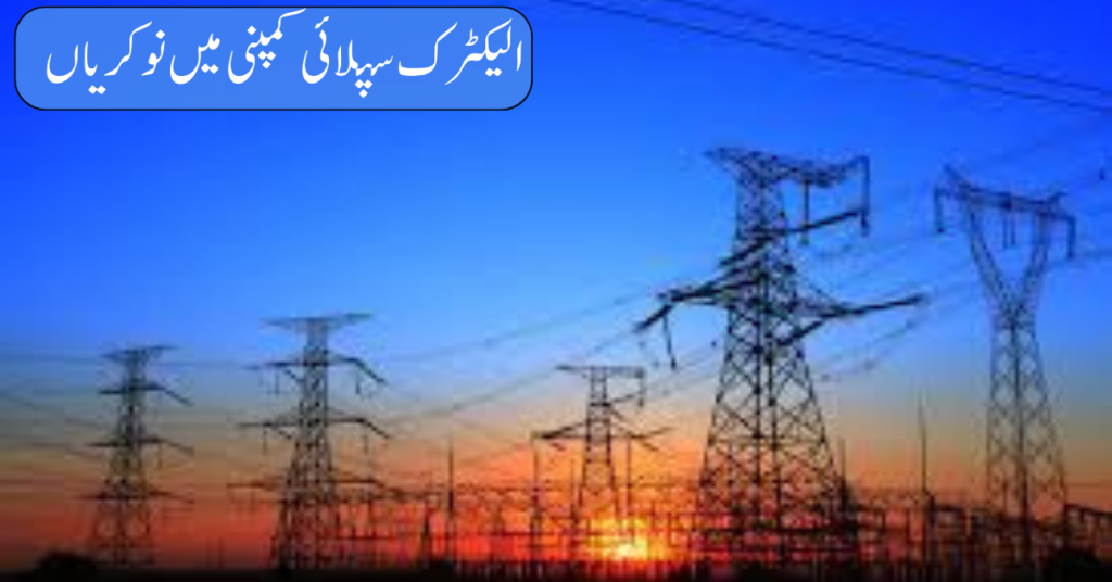 Electric Supply Company Jobs 2024