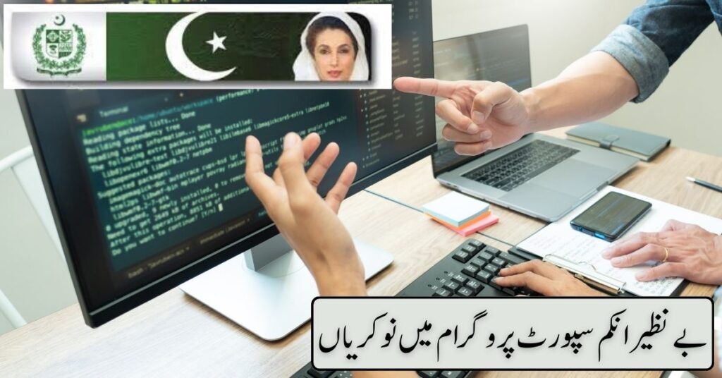 Benazir Income Support Program Jobs 2024