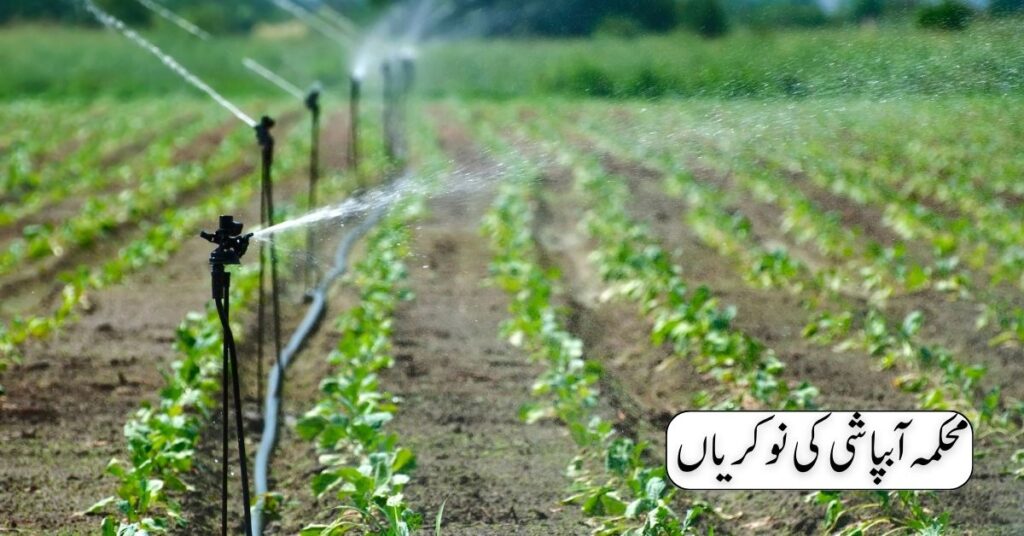 Irrigation Department Jobs 2024