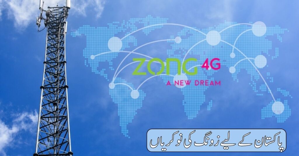 Zong Jobs 2024