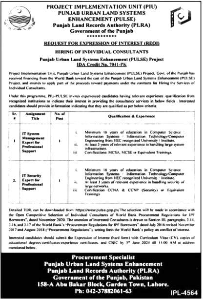 Punjab Land Record Authority Jobs 2024