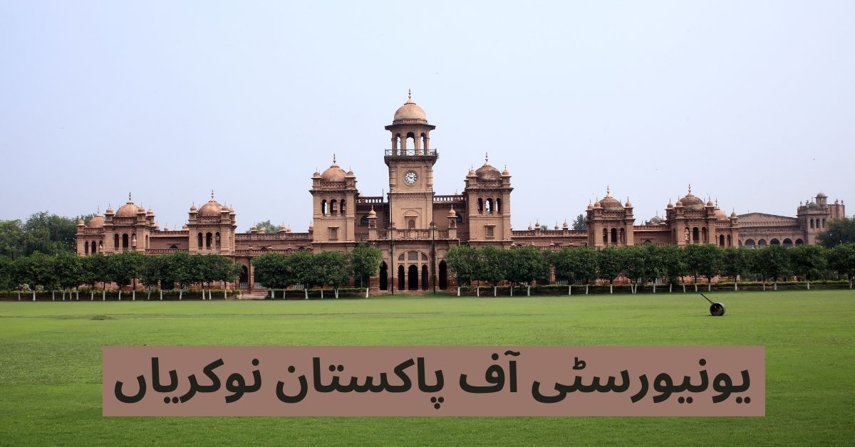 University of Pakistan Jobs 2024 University of Pakistan Jobs 2024