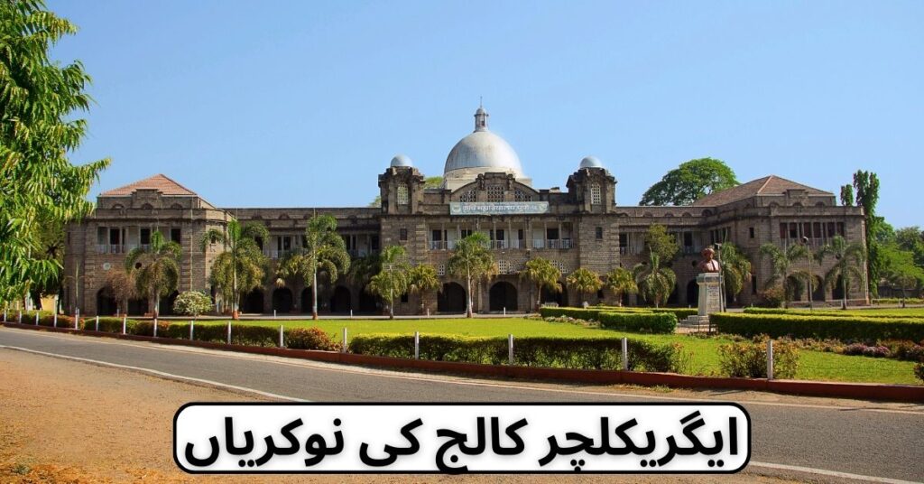 Balochistan Agriculture College Jobs 2024