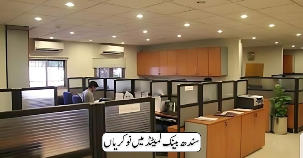 Sindh Bank Limited Jobs 2024