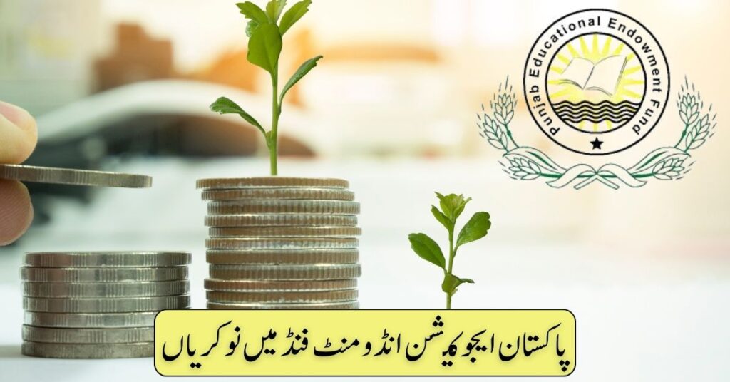 Pakistan Education Fund Jobs 2024