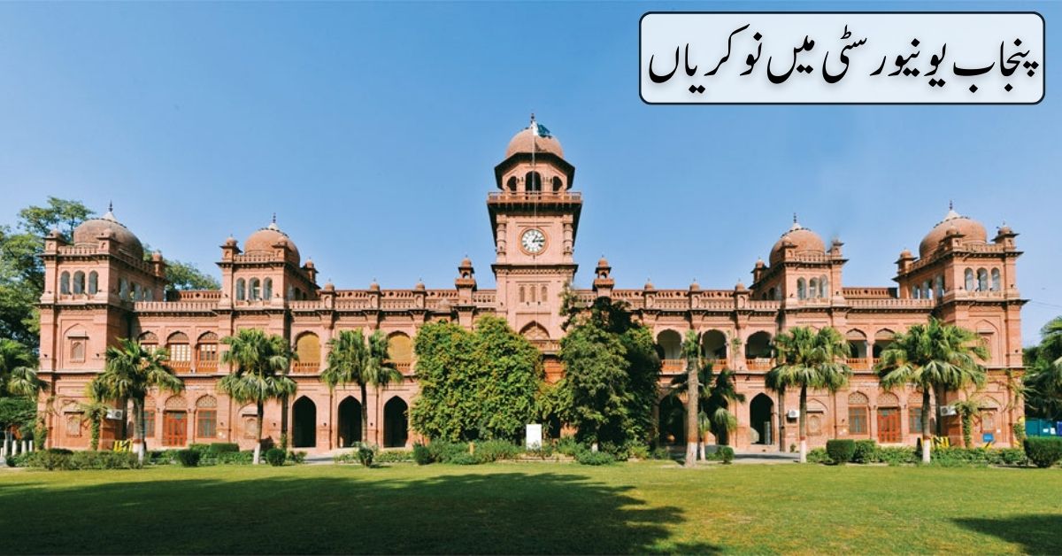 Punjab University Jobs 2024
