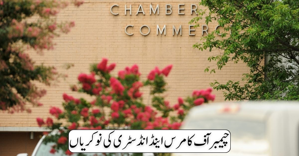 Chamber Of Commerce & Industry Jobs 2024