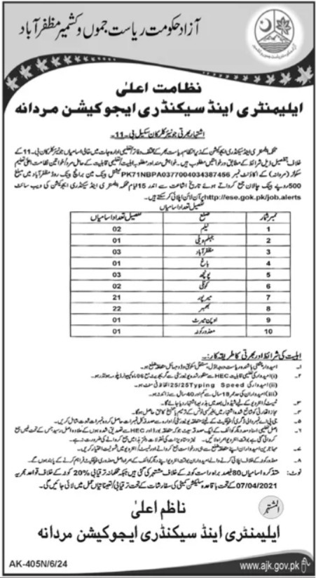 Elementary & Secondary Education Department Jobs 2024