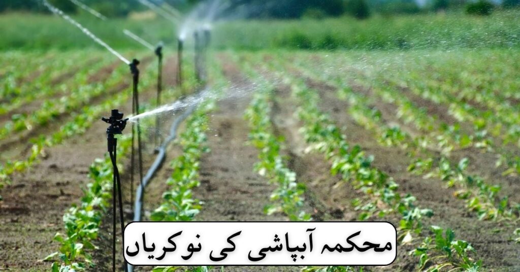 Irrigation Department Jobs