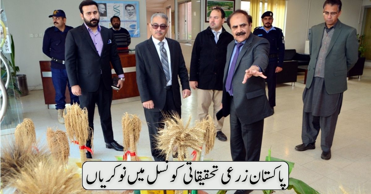 Pakistan Agricultural Research Council Jobs Pakistan Agricultural Research Council Jobs