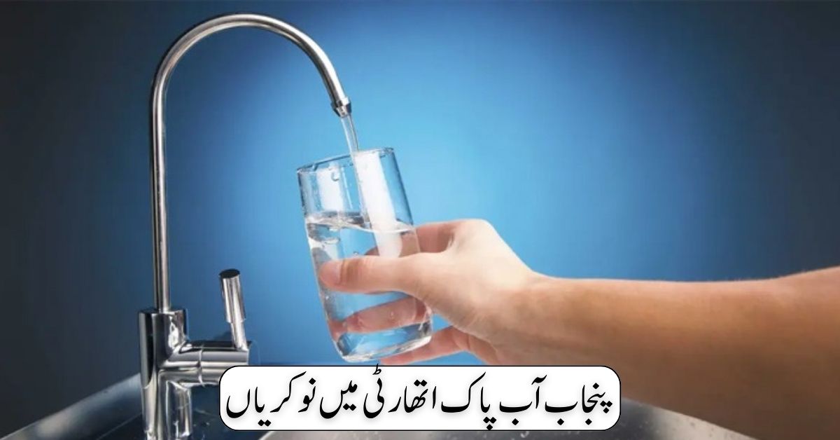 Punjab Aab e Pak Authority Jobs 2024 Punjab Aab e Pak Authority Jobs 2024