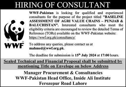 WWF Pakistan Jobs 2024