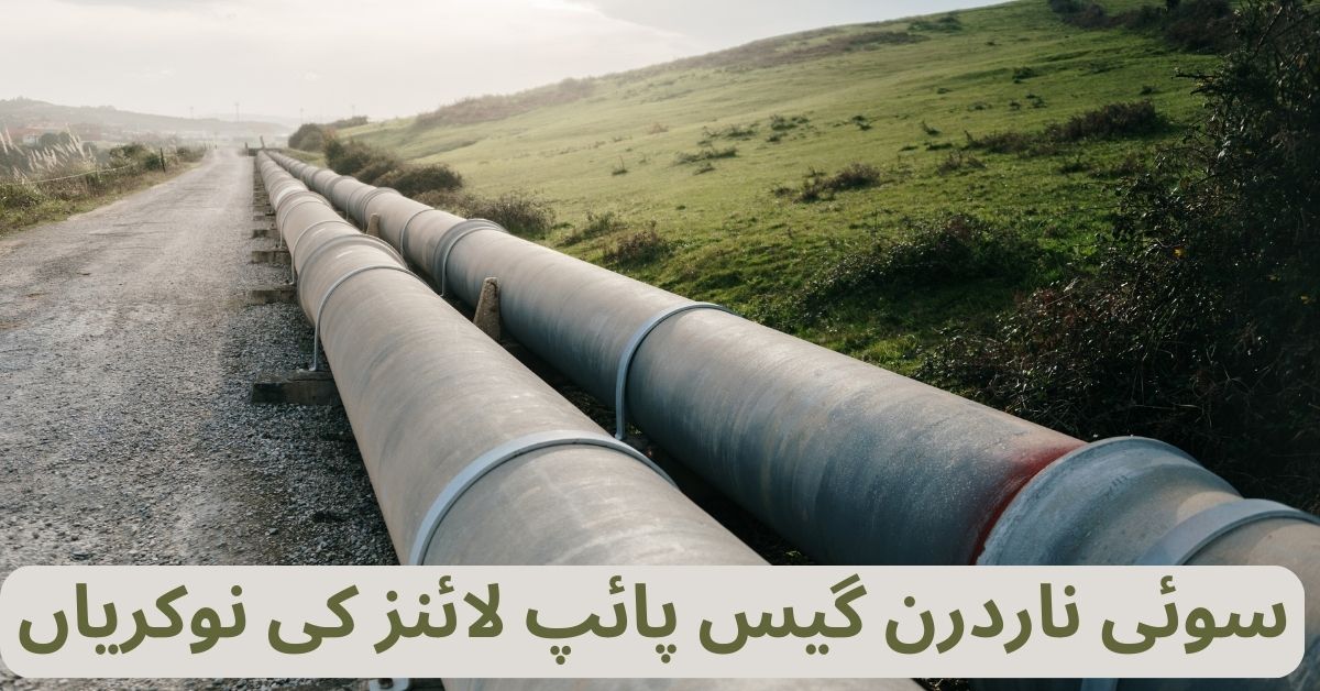 Sui Northern Gas Pipelines Jobs 2024